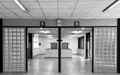 Acquiescenza nel giudizio abbreviato e pene sostitutive: la Corte Costituzionale sul potere del giudice dell’esecuzione