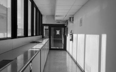 Tribunale di Napoli, aule d’udienza penale, 11 marzo