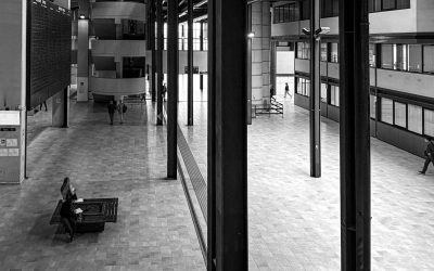 Tribunale di Napoli, aule d’udienza penale, 12 dicembre